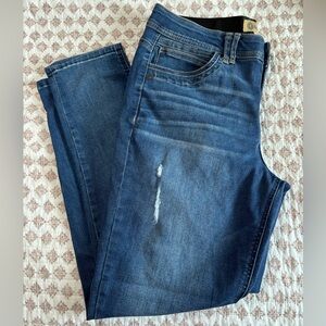 Democracy Stretchy Blue Denim Jeans